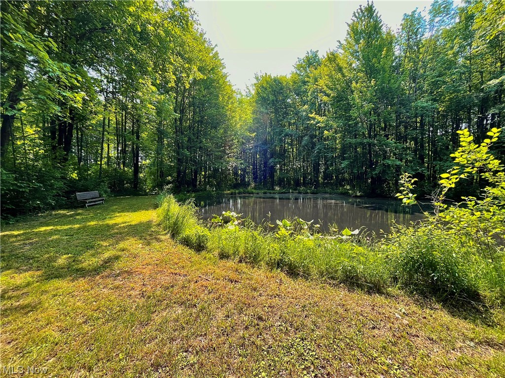 17615 Rock Creek Road Thompson, OH 44086 - Photo 23 of 35