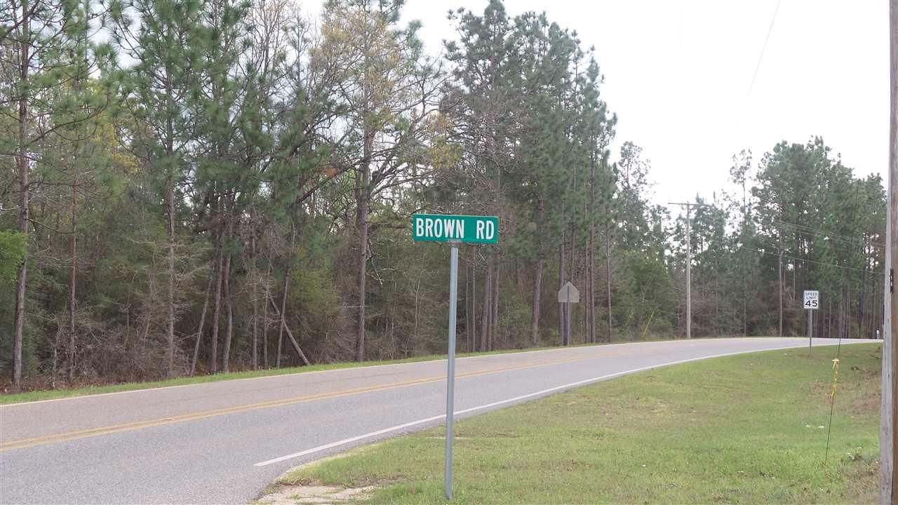 0 Brown Road Bay Minette, AL 36507 - Photo 1 of 15