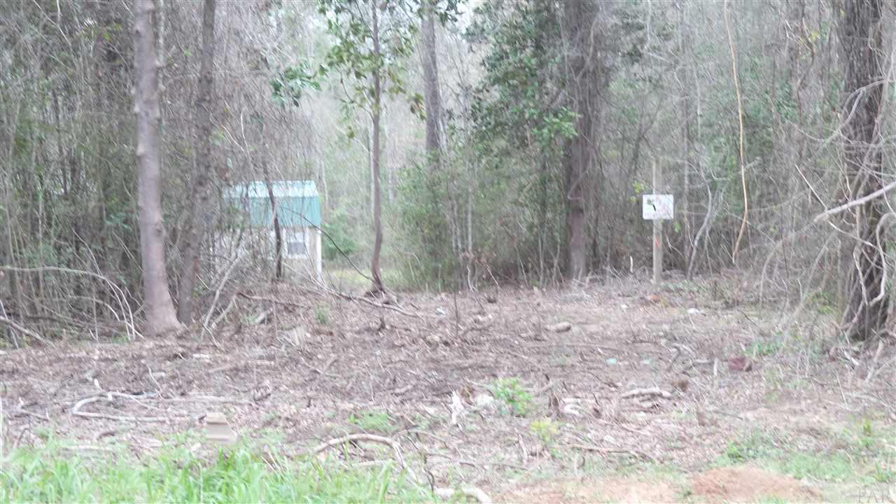 0 Brown Road Bay Minette, AL 36507 - Photo 14 of 15