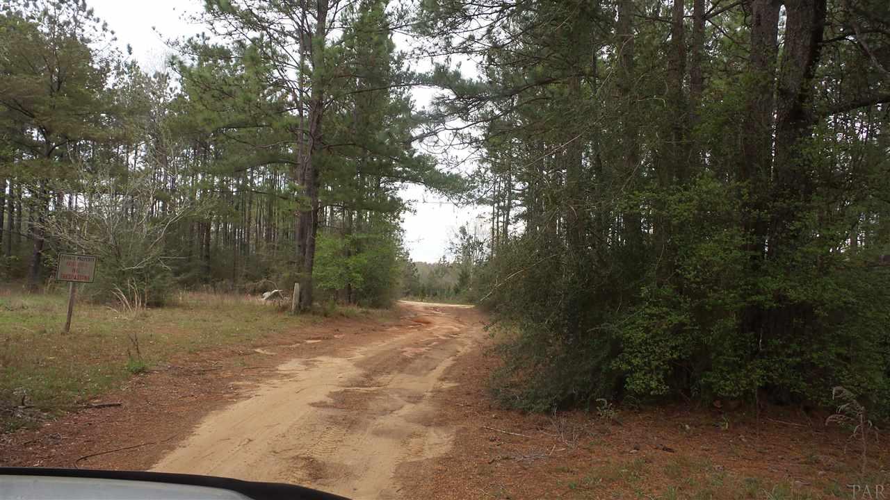 0 Brown Road Bay Minette, AL 36507 - Photo 3 of 15