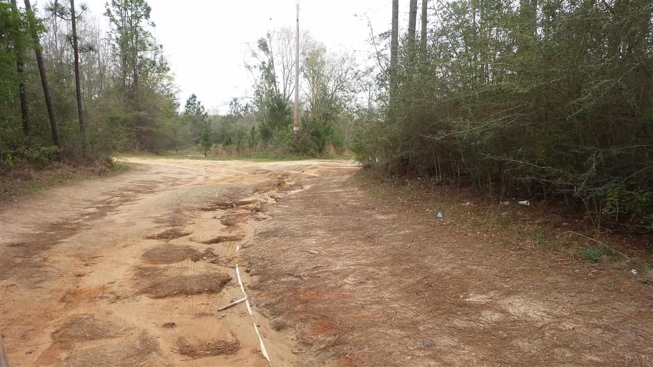 0 Brown Road Bay Minette, AL 36507 - Photo 4 of 15