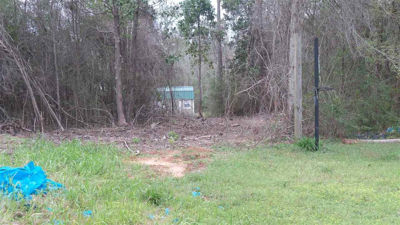 0 Brown Road Bay Minette, AL 36507 - Photo 8 of 15