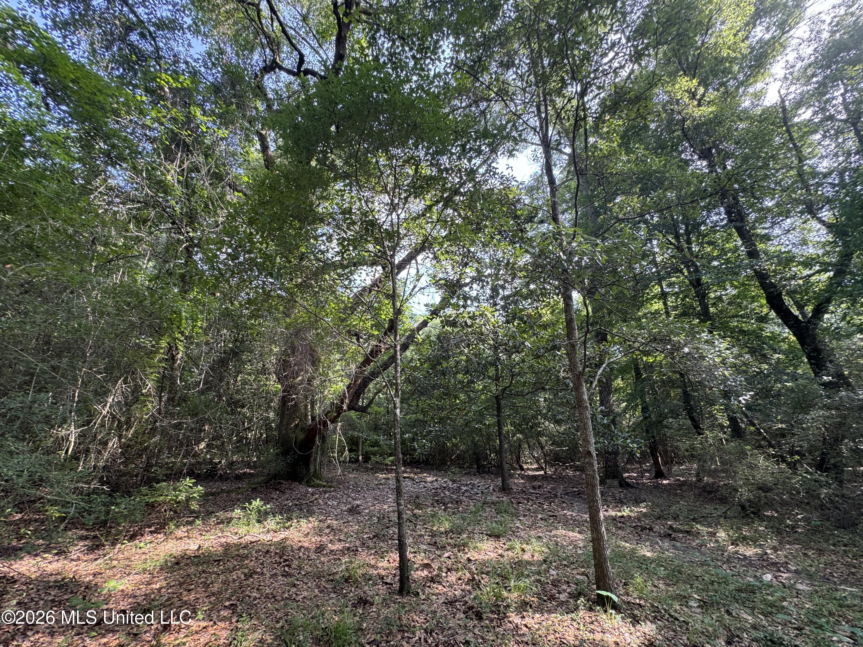 2980 Dwyer Branch Road Vancleave, MS 39565 - Photo 12 of 106 IMG_2628