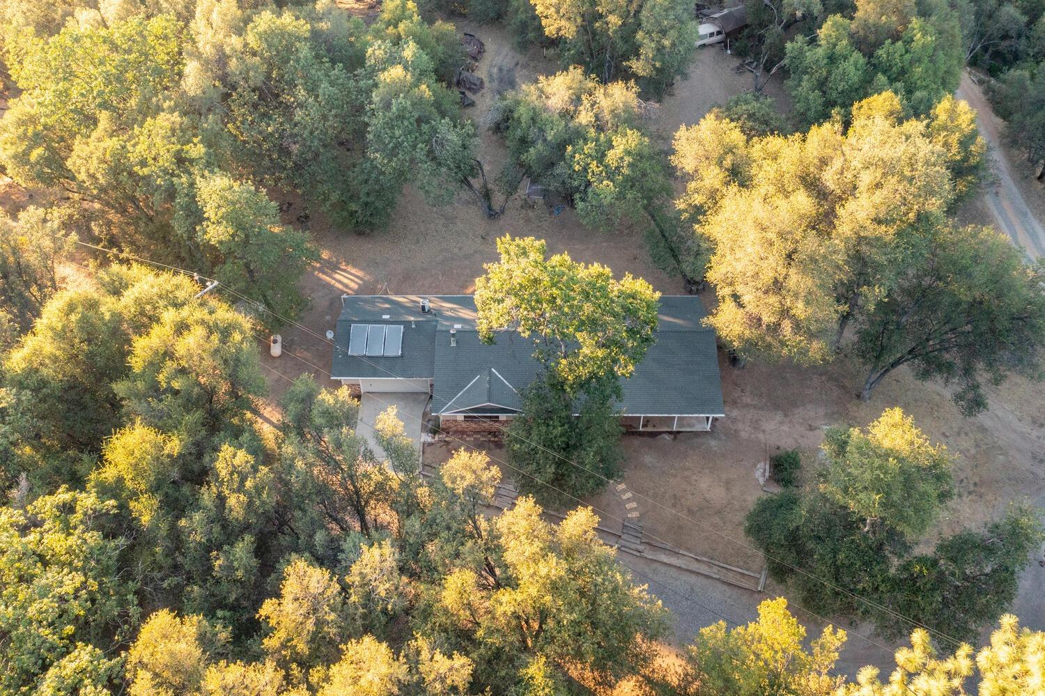 51202 Rusty Lane Oakhurst, CA 93644 - Photo 24 of 27 a view of a yard with a tree