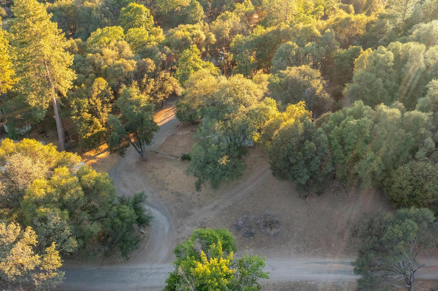 51202 Rusty Lane Oakhurst, CA 93644 - Photo 26 of 27 a view of a yard with a tree