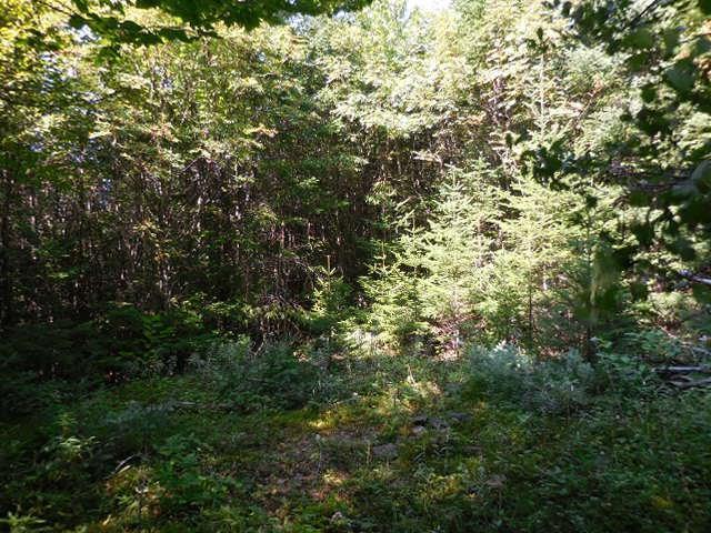 83 Bulldog Road West Forks, ME 04985 - Photo 4 of 11 20180817105405603512000000-o