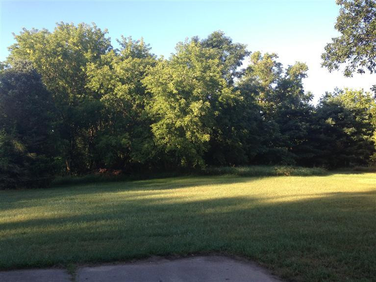 19123 Williamsville Road Gregory, MI 48137 - Photo 4 of 14 Photo 4