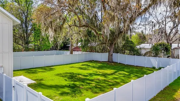 a view of backyard with potted plants