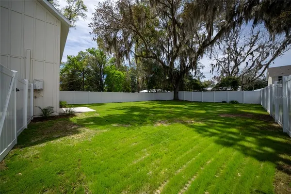 a view of a backyard with large trees