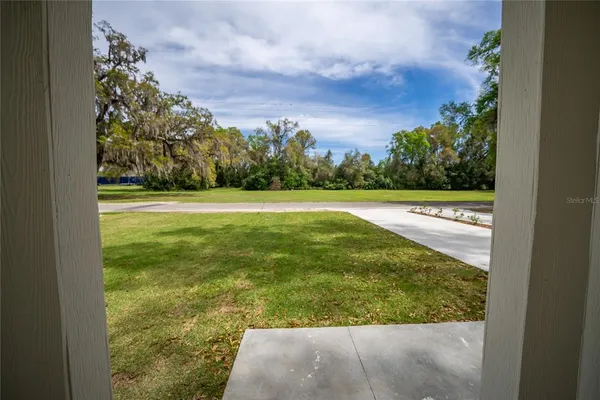 a view of yard with trees in the background