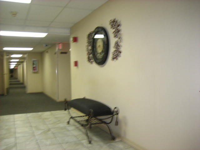 1301 South Finley Road, Unit 211 Lombard, IL 60148 - Photo 6 of 21