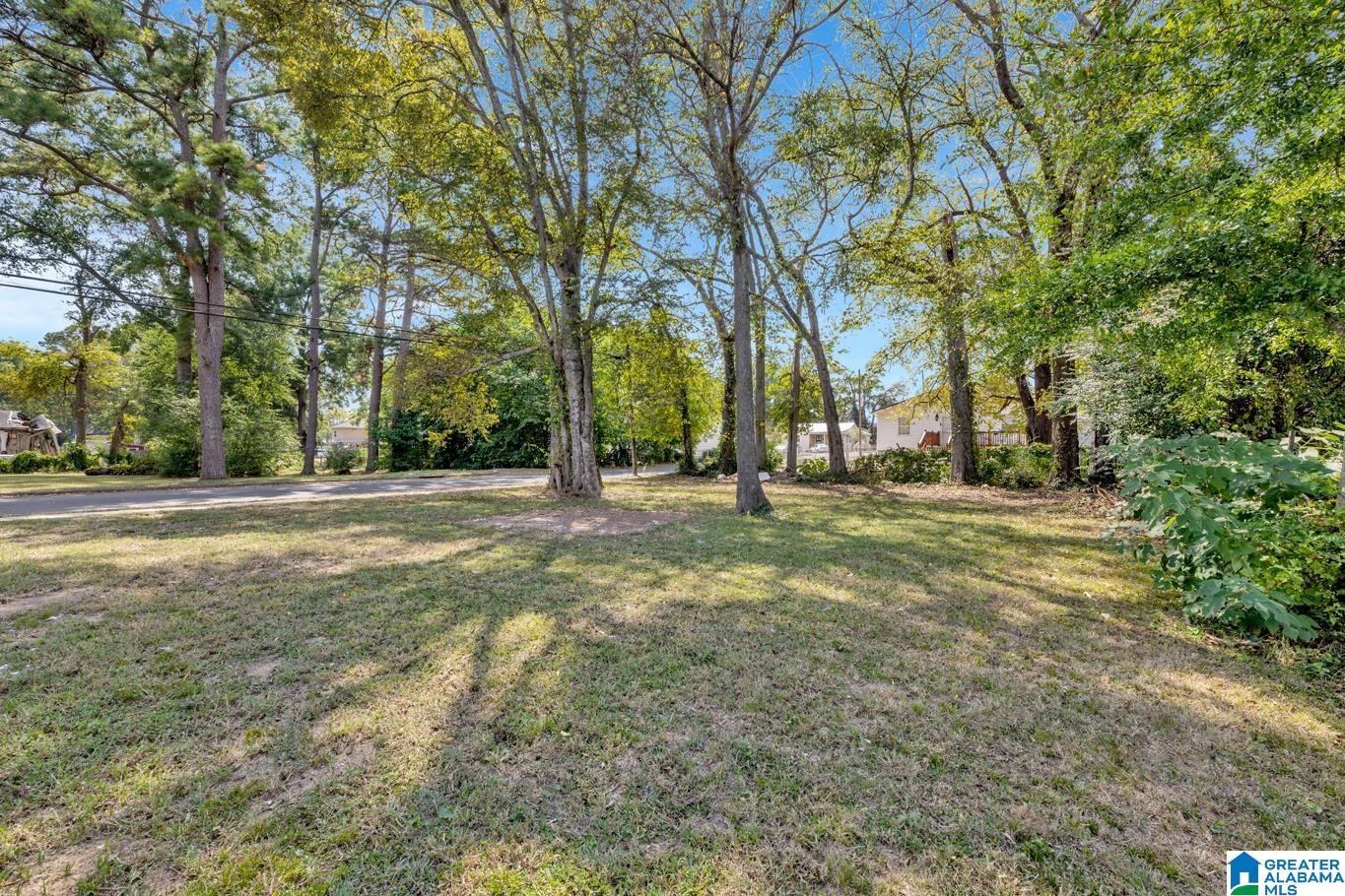 1324 19th Street Southwest Birmingham, AL 35211 - Photo 4 of 26