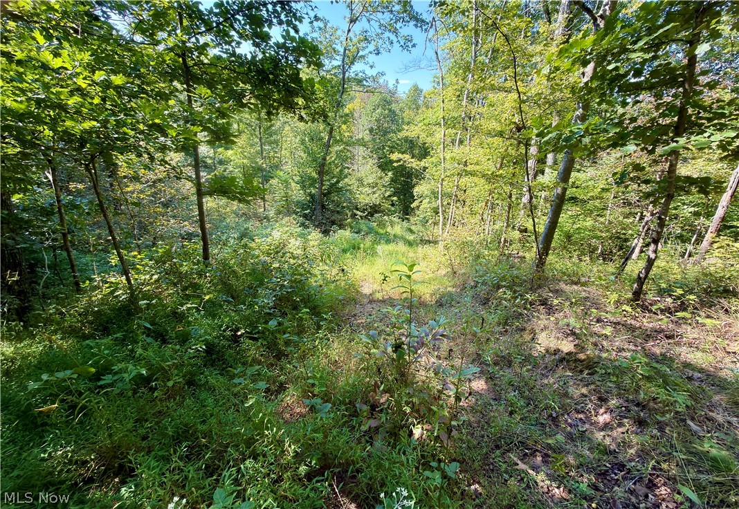 2074 Bogal Ridge Road Mineral Wells, WV 26150 - Photo 11 of 15 Gallery Image 11