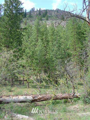 27 Last Chance Road Mazama, WA 98833 - Photo 1 of 1 Gallery Image 1