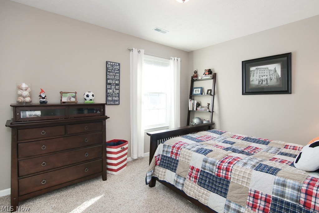 8813 Harvest Ridge Way North Ridgeville, OH 44039 - Photo 32 of 35 Gallery Image 32