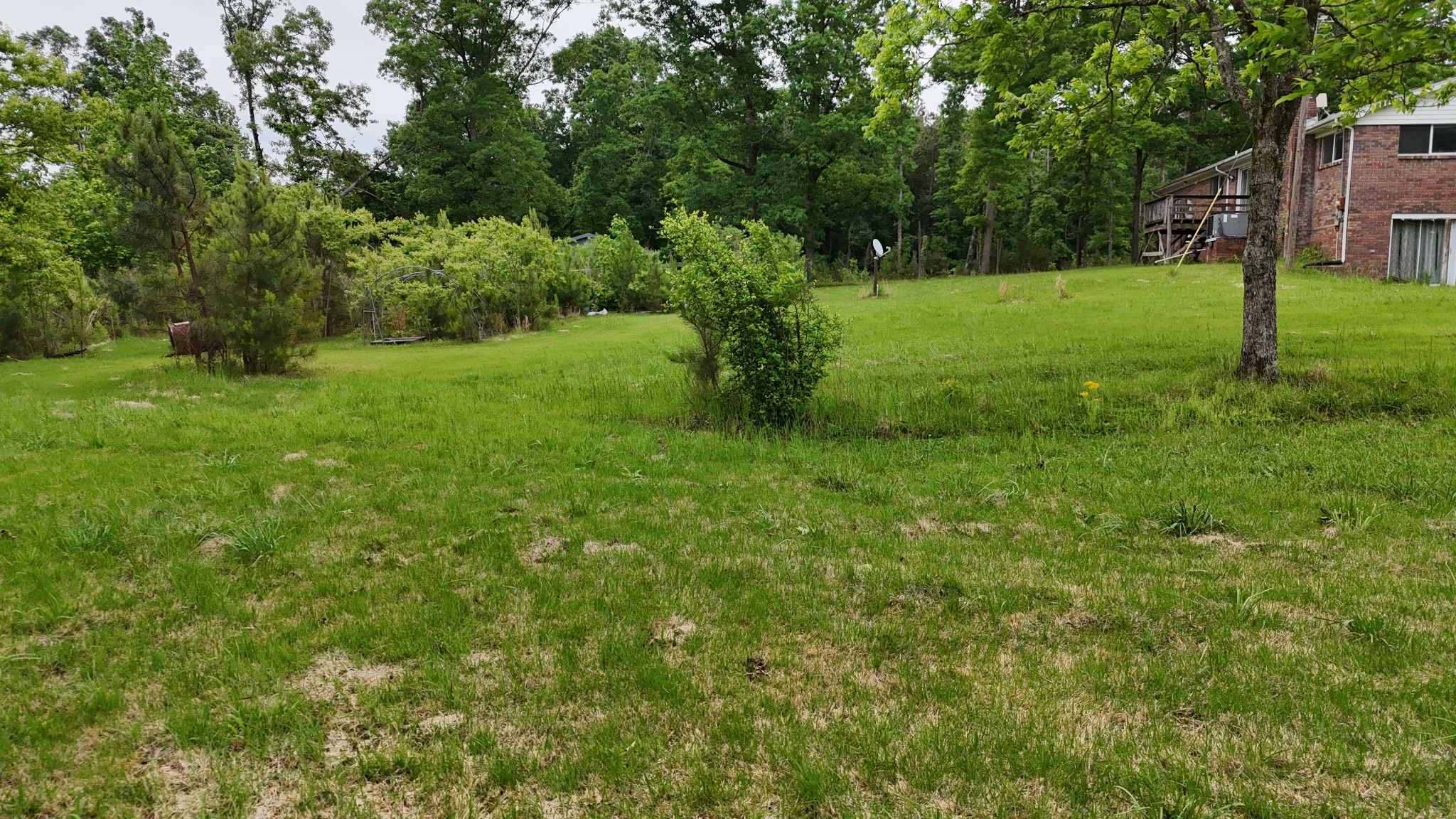 178 Lester Plunk Road Bethel Springs, TN 38315 - Photo 32 of 39 a view of a grassy field with trees