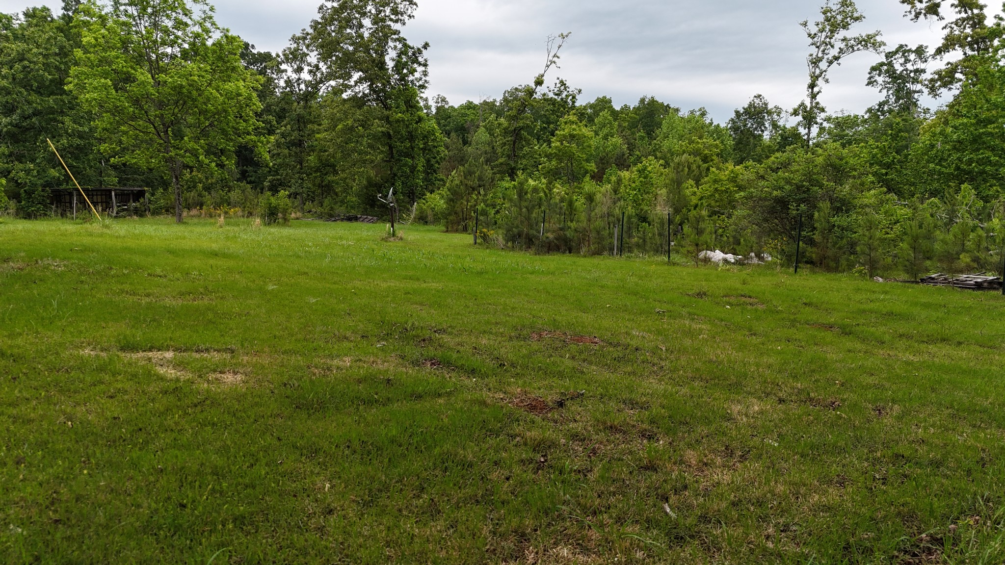 178 Lester Plunk Road Bethel Springs, TN 38315 - Photo 34 of 39 a view of a green field with wooden fence