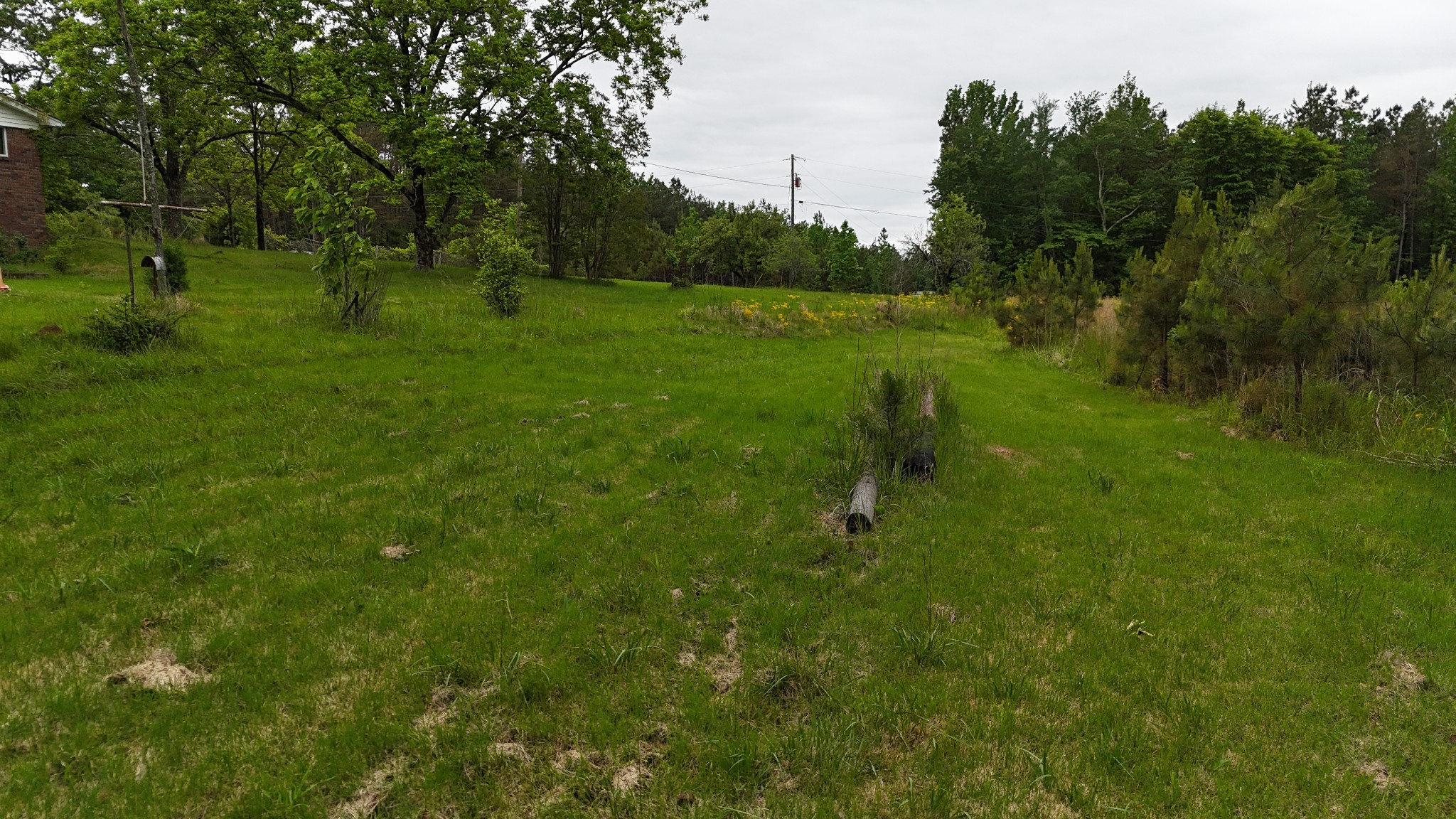 178 Lester Plunk Road Bethel Springs, TN 38315 - Photo 35 of 39 a view of a park