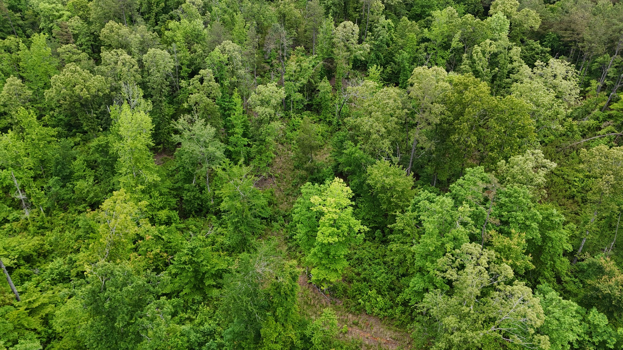 178 Lester Plunk Road Bethel Springs, TN 38315 - Photo 36 of 39