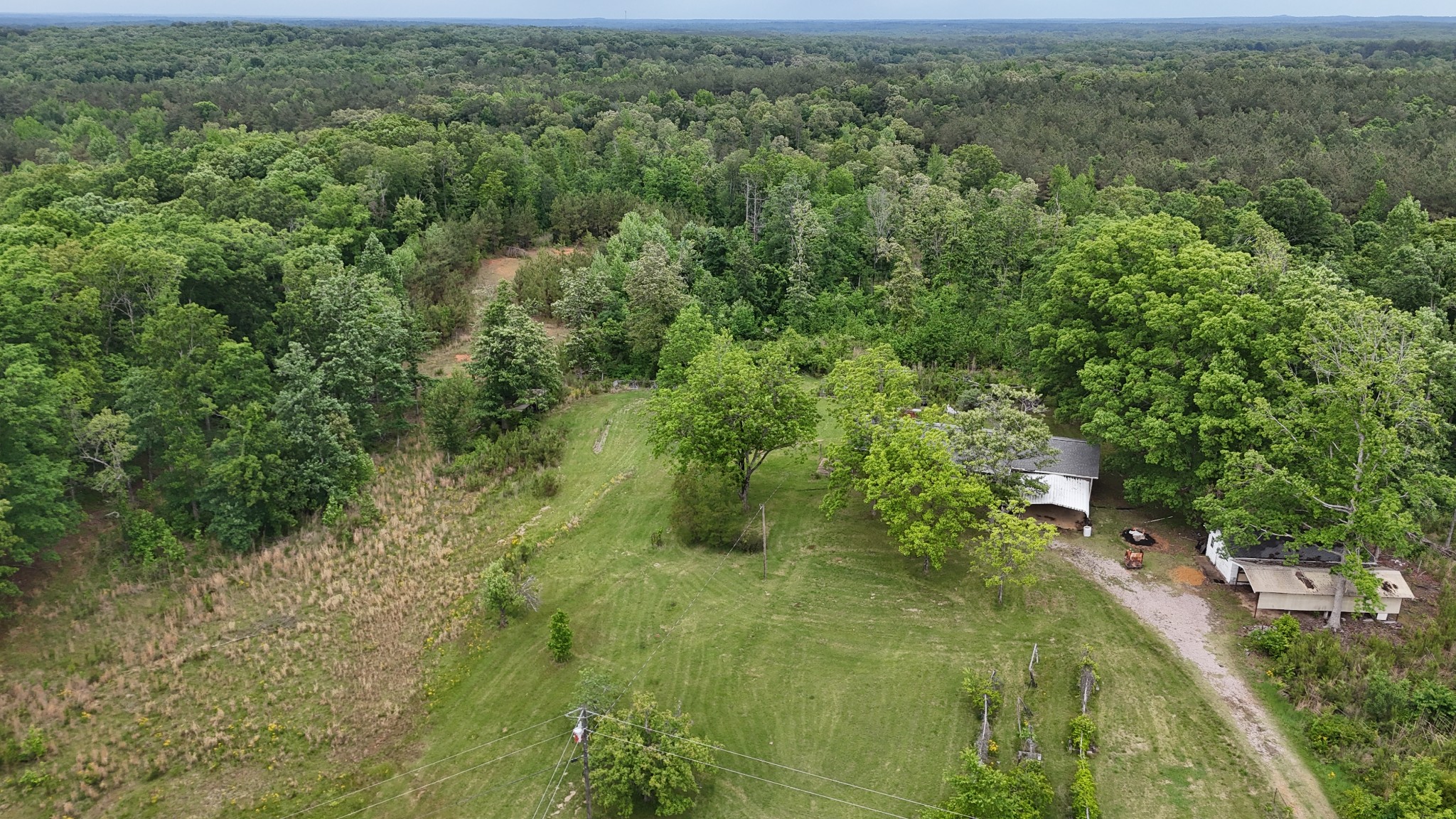 178 Lester Plunk Road Bethel Springs, TN 38315 - Photo 7 of 39 a view of a forest with a street