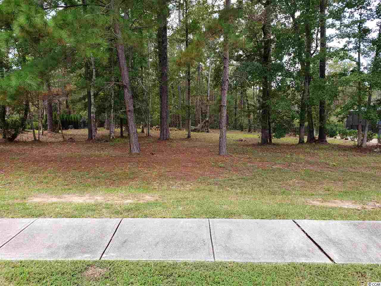 Lot 198 Chamberlin Road Myrtle Beach, SC 29588 - Photo 2 of 33 Gallery Image 2