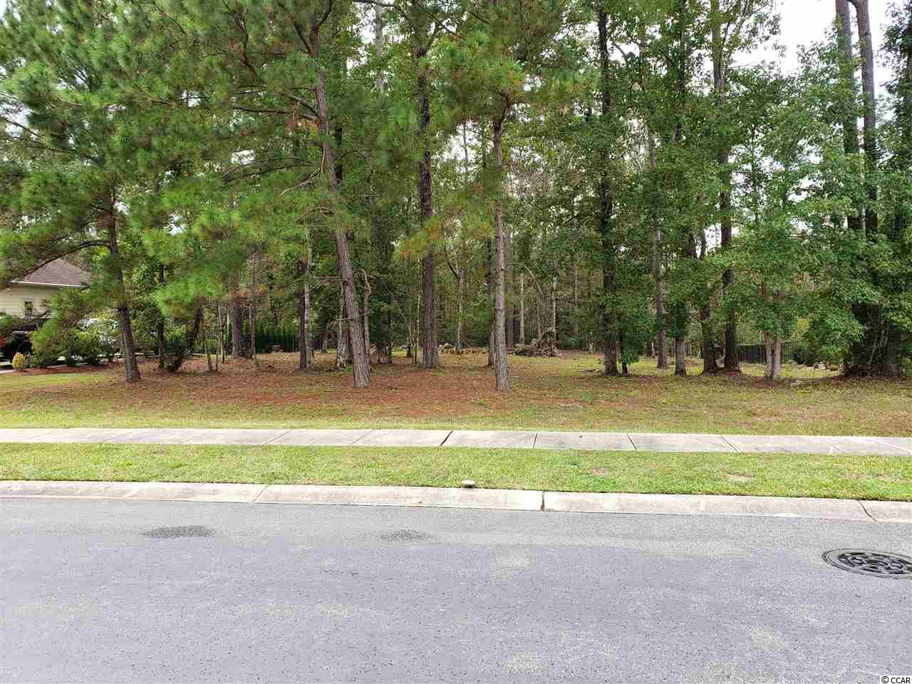 Lot 198 Chamberlin Road Myrtle Beach, SC 29588 - Photo 8 of 33 Gallery Image 8