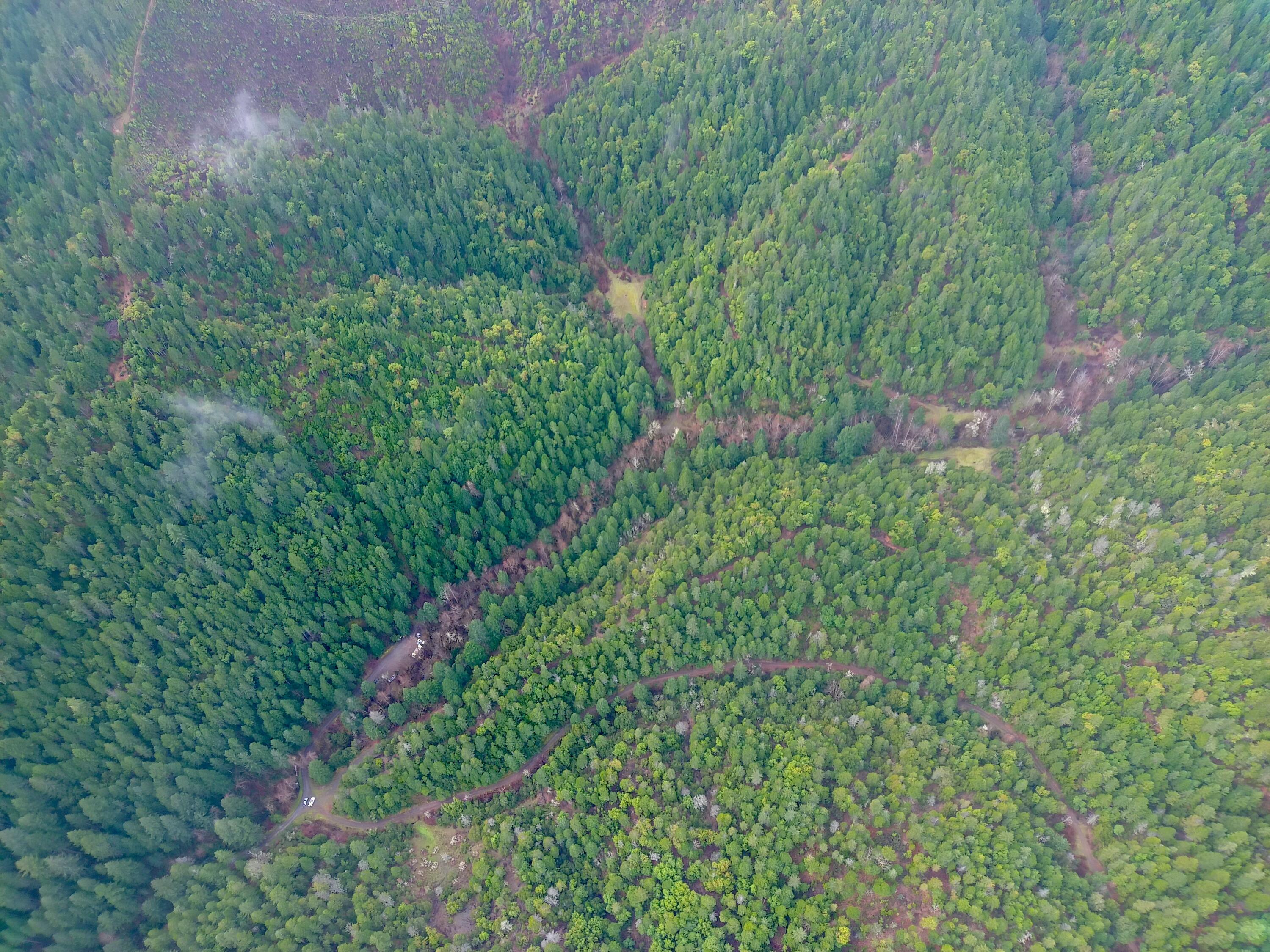 1802 Waters Creek Road Wilderville, OR 97543 - Photo 6 of 14 a view of a lush green forest