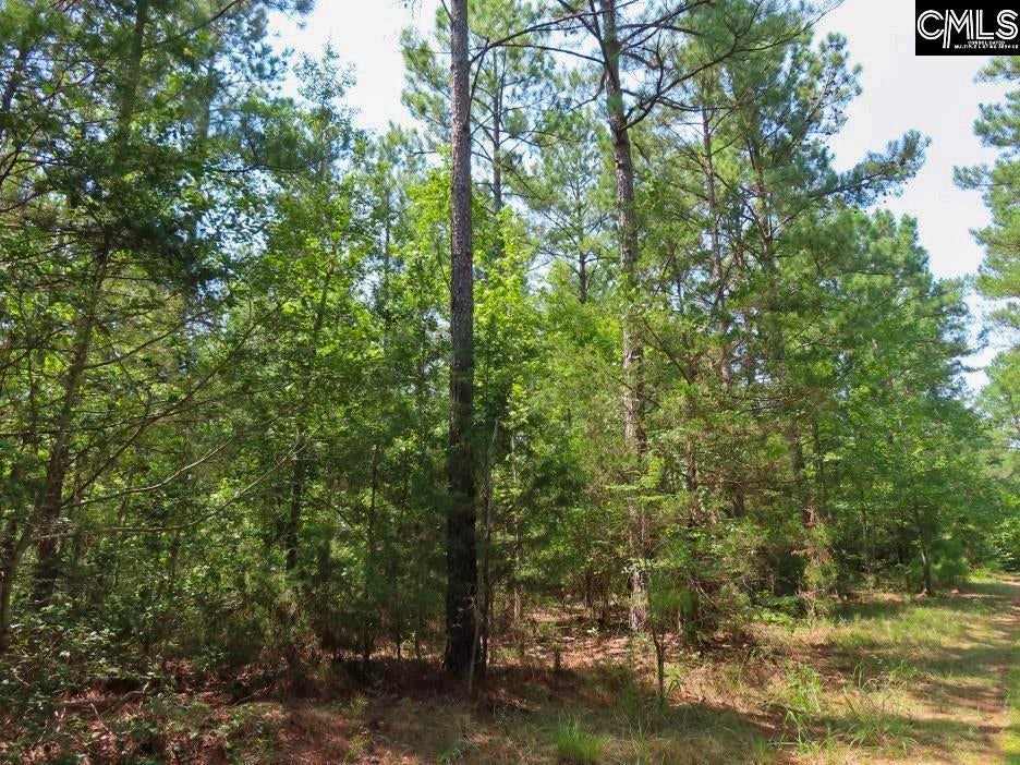 0 Landis Road Winnsboro, SC 29180 - Photo 17 of 83 Gallery Image 17