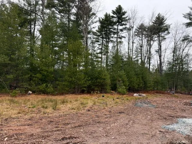 a view of snow on a road
