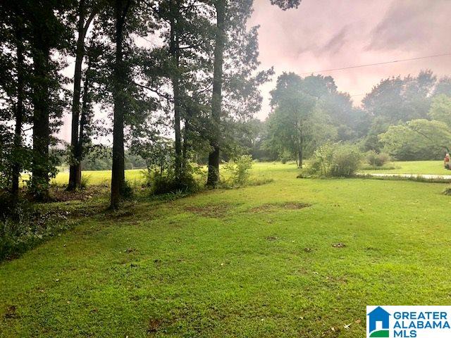 321 Aderholt Road Piedmont, AL 36272 - Photo 40 of 47