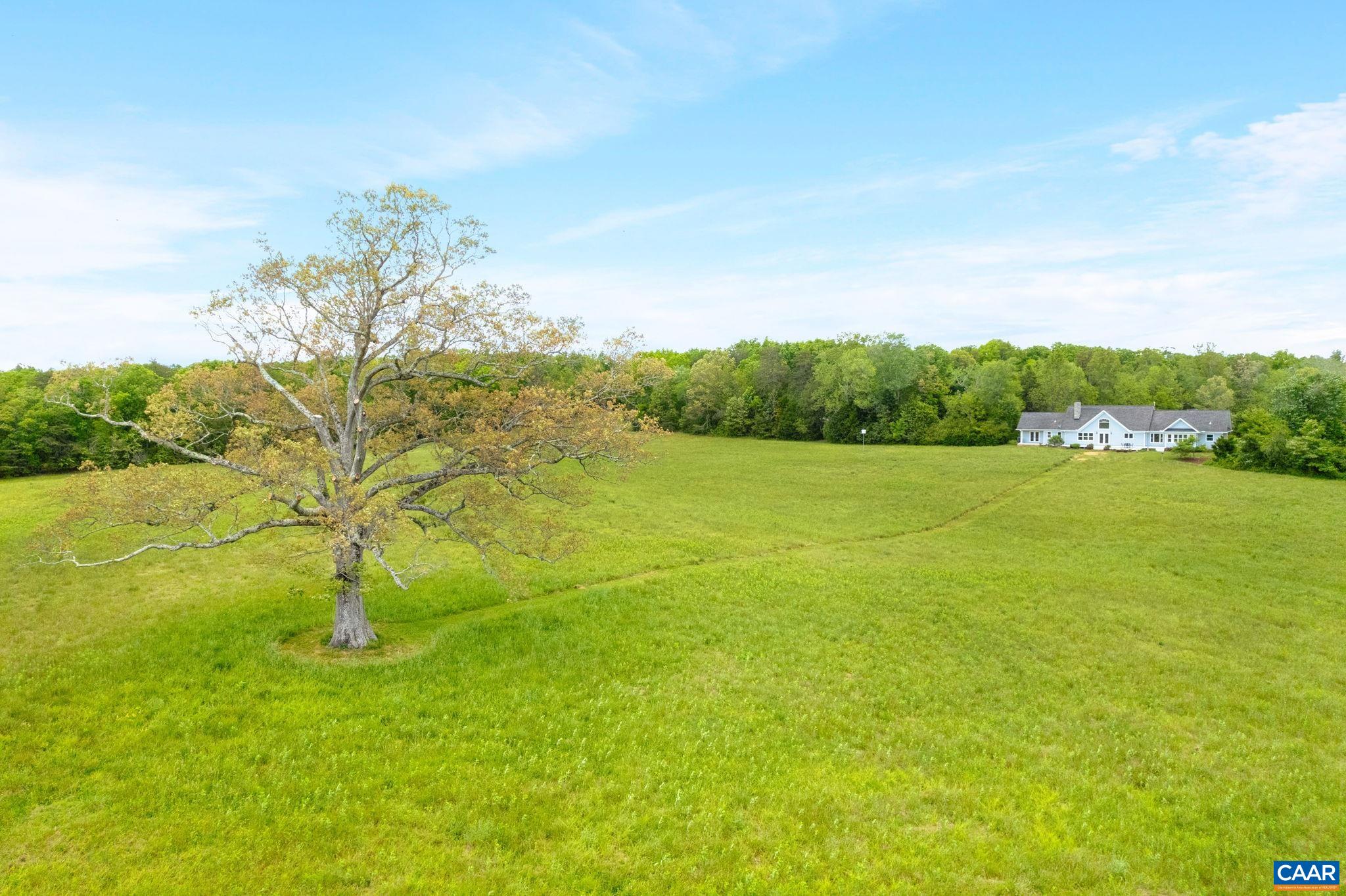 6670 Scottsville Road Keene, VA 22946 - Photo 5 of 71 Gallery Image 5