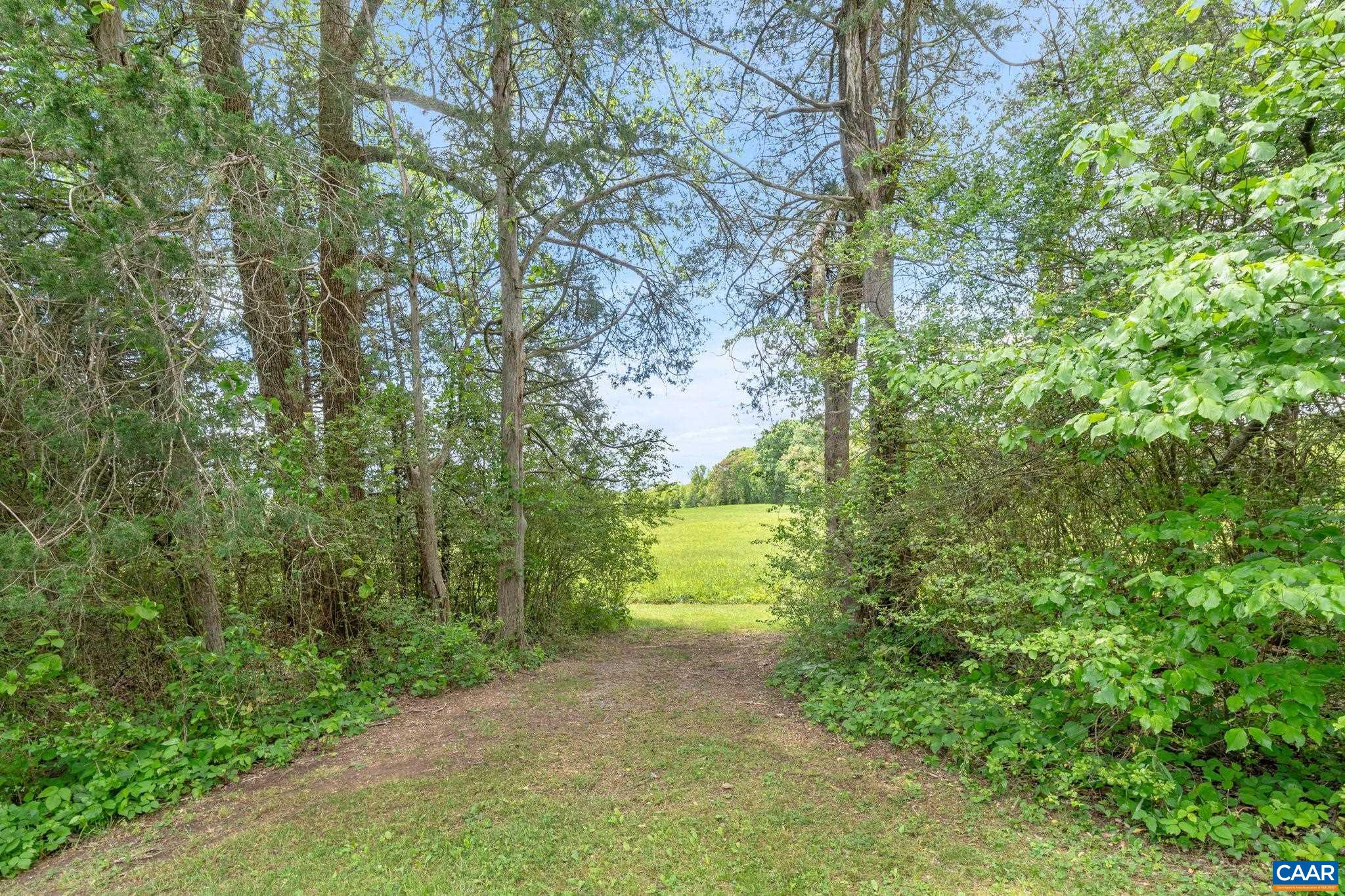 6670 Scottsville Road Keene, VA 22946 - Photo 68 of 71 Gallery Image 68