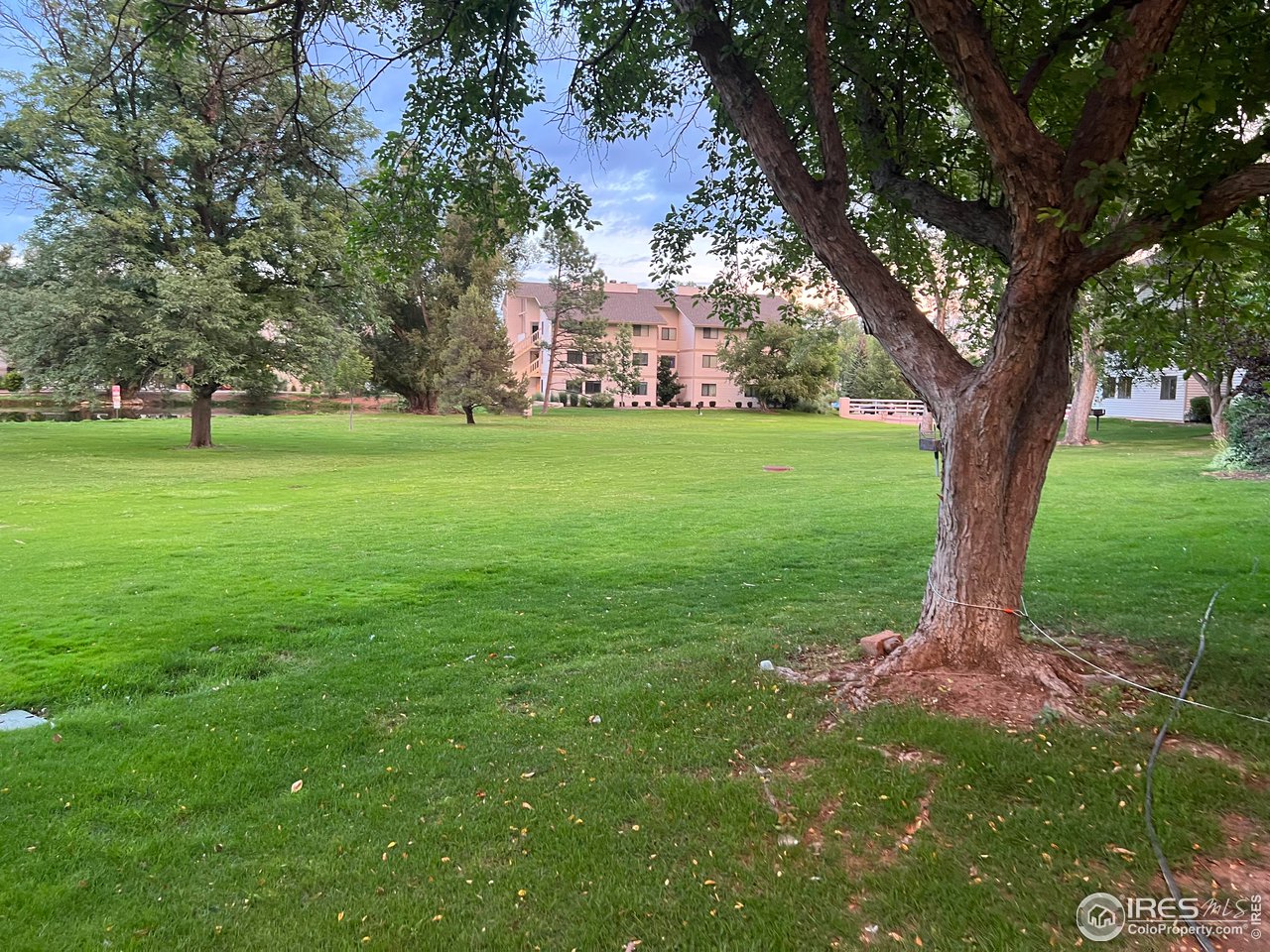 1705 Heatheridge Road, Unit 104 Fort Collins, CO 80526 - Photo 1 of 14 a view of a trees in a yard