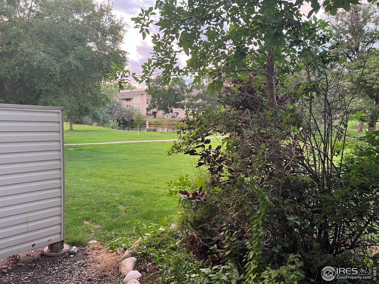 1705 Heatheridge Road, Unit 104 Fort Collins, CO 80526 - Photo 12 of 14 a view of a field with a tree