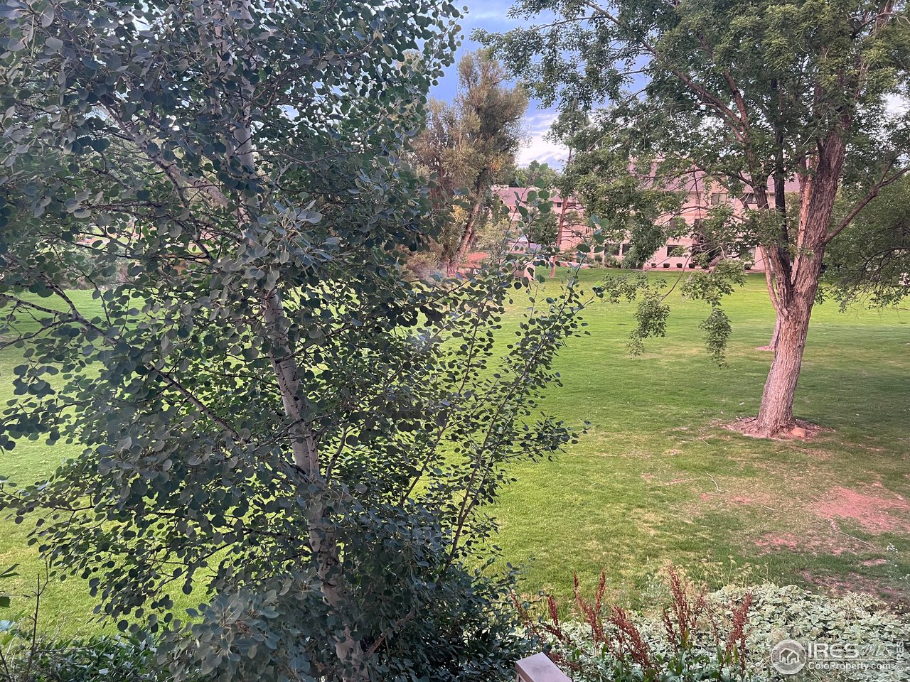 1705 Heatheridge Road, Unit 104 Fort Collins, CO 80526 - Photo 14 of 14 a backyard of a house with lots of green space and fog