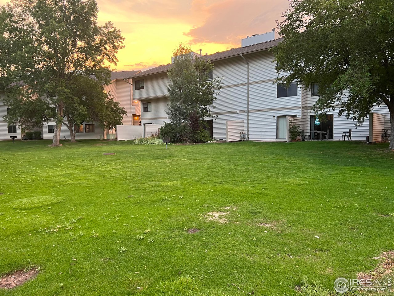 1705 Heatheridge Road, Unit 104 Fort Collins, CO 80526 - Photo 2 of 14 a view of a backyard of house with a large tree