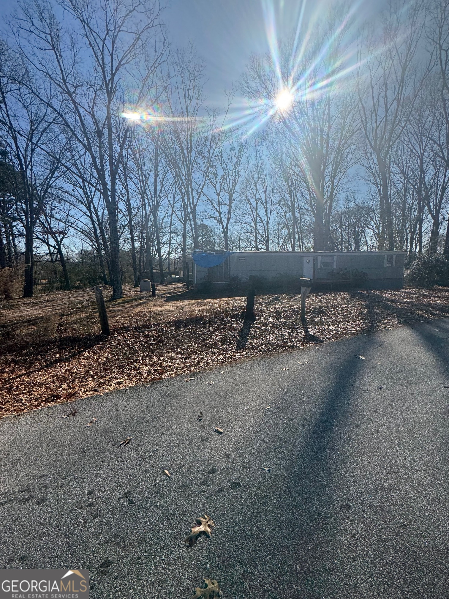 a backyard of a house with lots of green space and glass windows