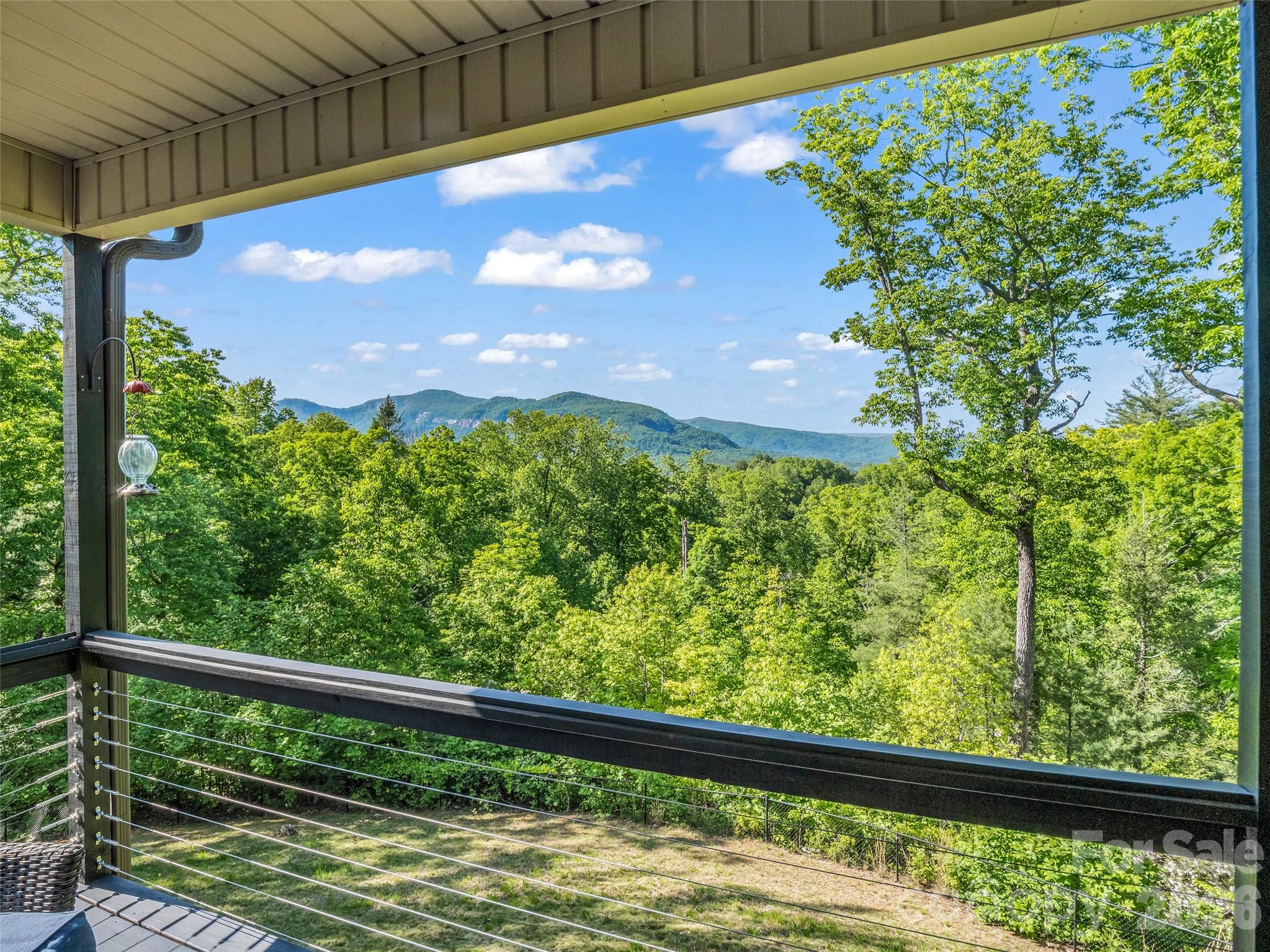 139 Picnic Point Road Lake Lure, NC 28746 - Photo 2 of 41