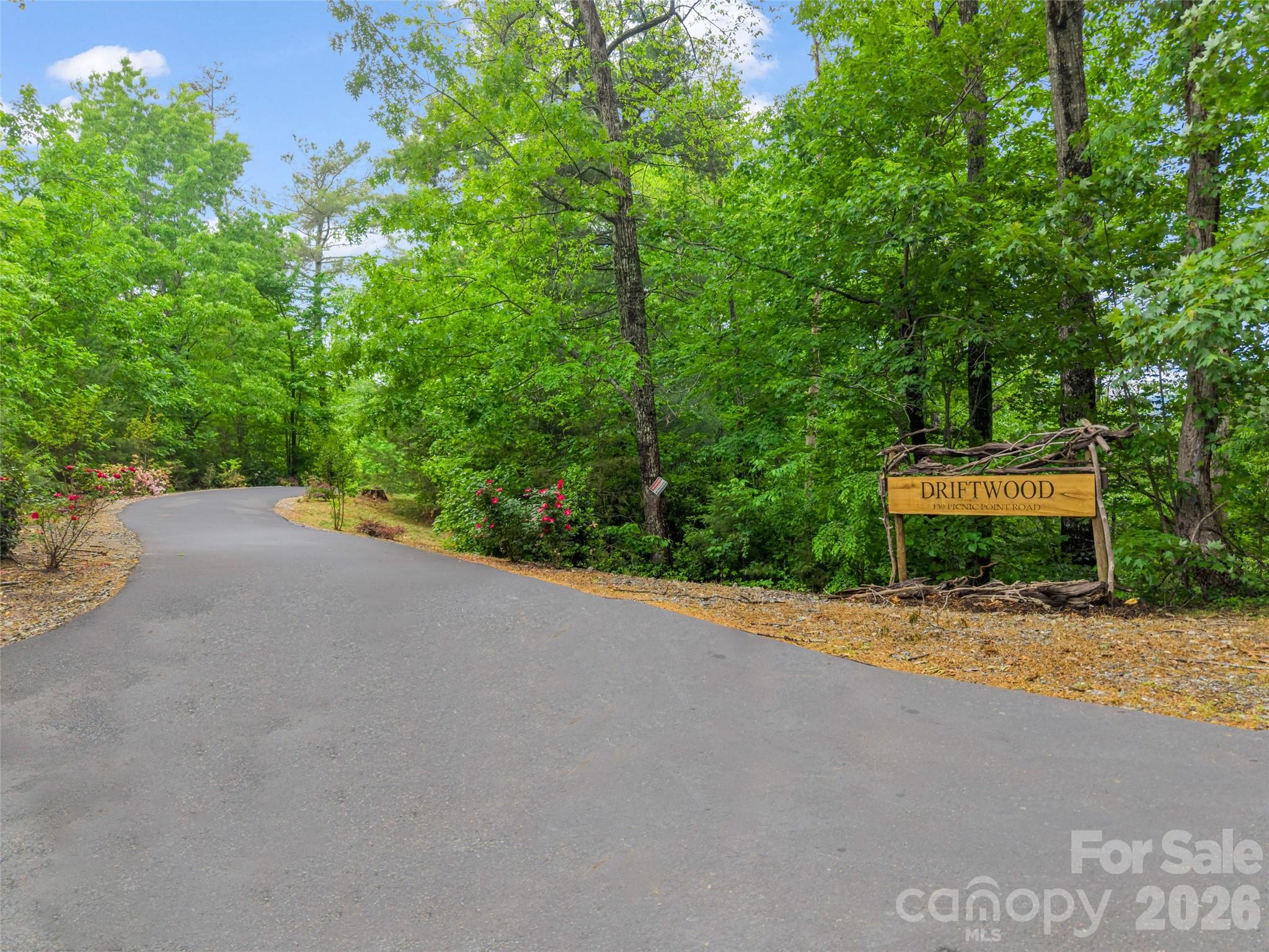 139 Picnic Point Road Lake Lure, NC 28746 - Photo 3 of 41 a view of a roadside with trees