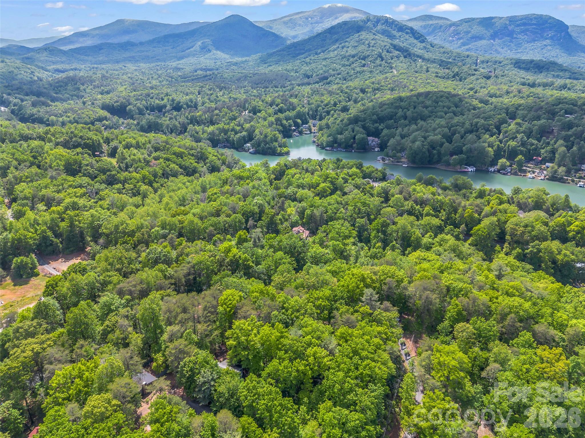 139 Picnic Point Road Lake Lure, NC 28746 - Photo 36 of 41 a view of a lush green forest with lush green forest