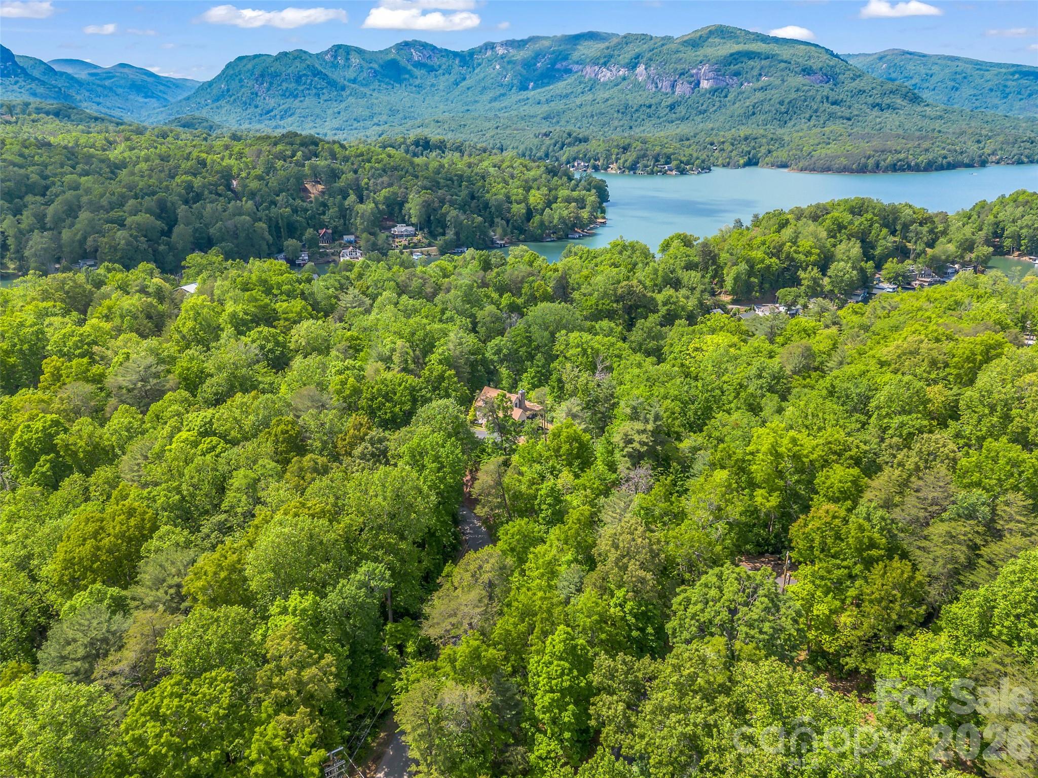 139 Picnic Point Road Lake Lure, NC 28746 - Photo 37 of 41 a view of a lush green forest with trees and some houses