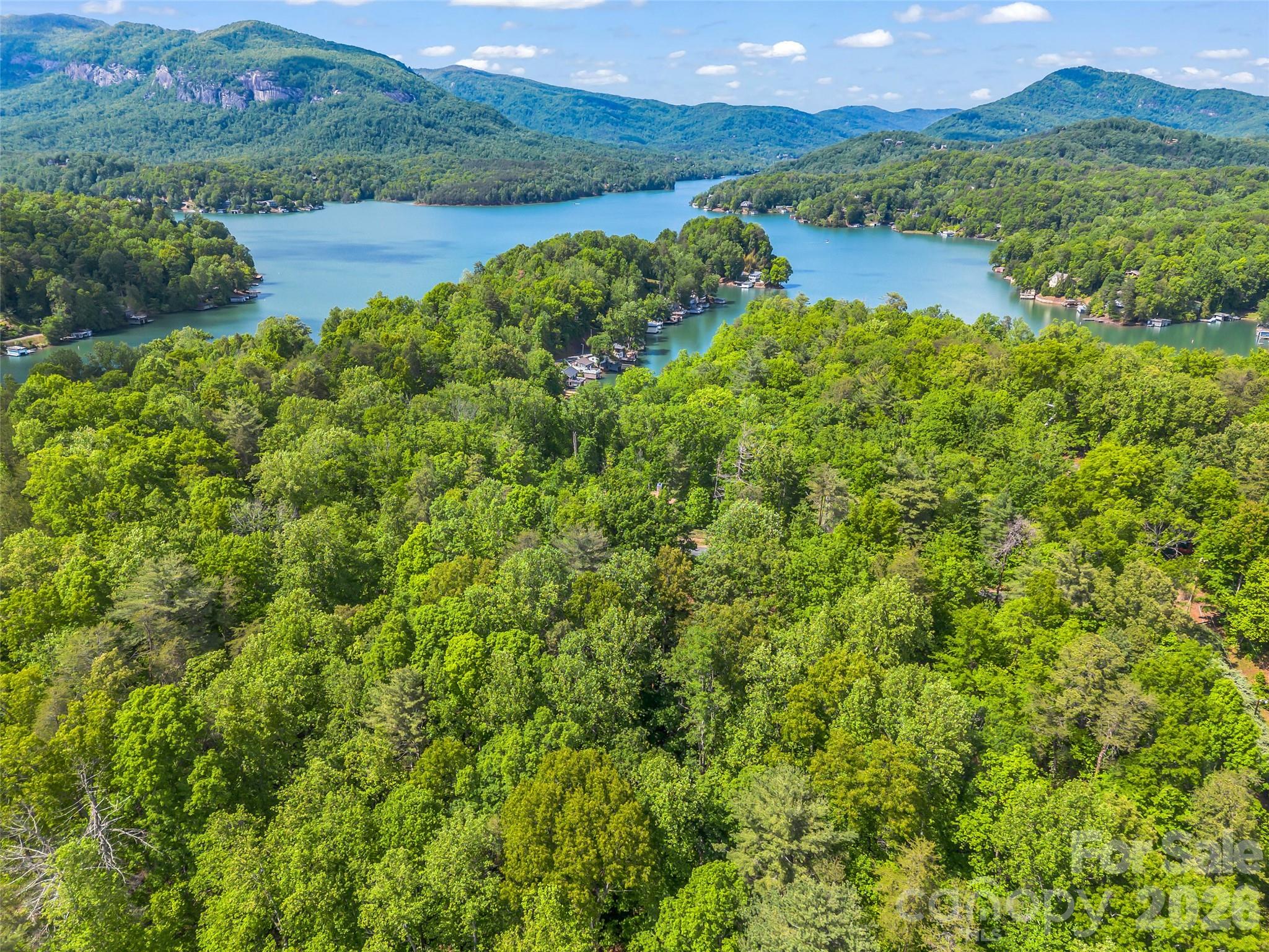 139 Picnic Point Road Lake Lure, NC 28746 - Photo 38 of 41 a view of lake with mountain