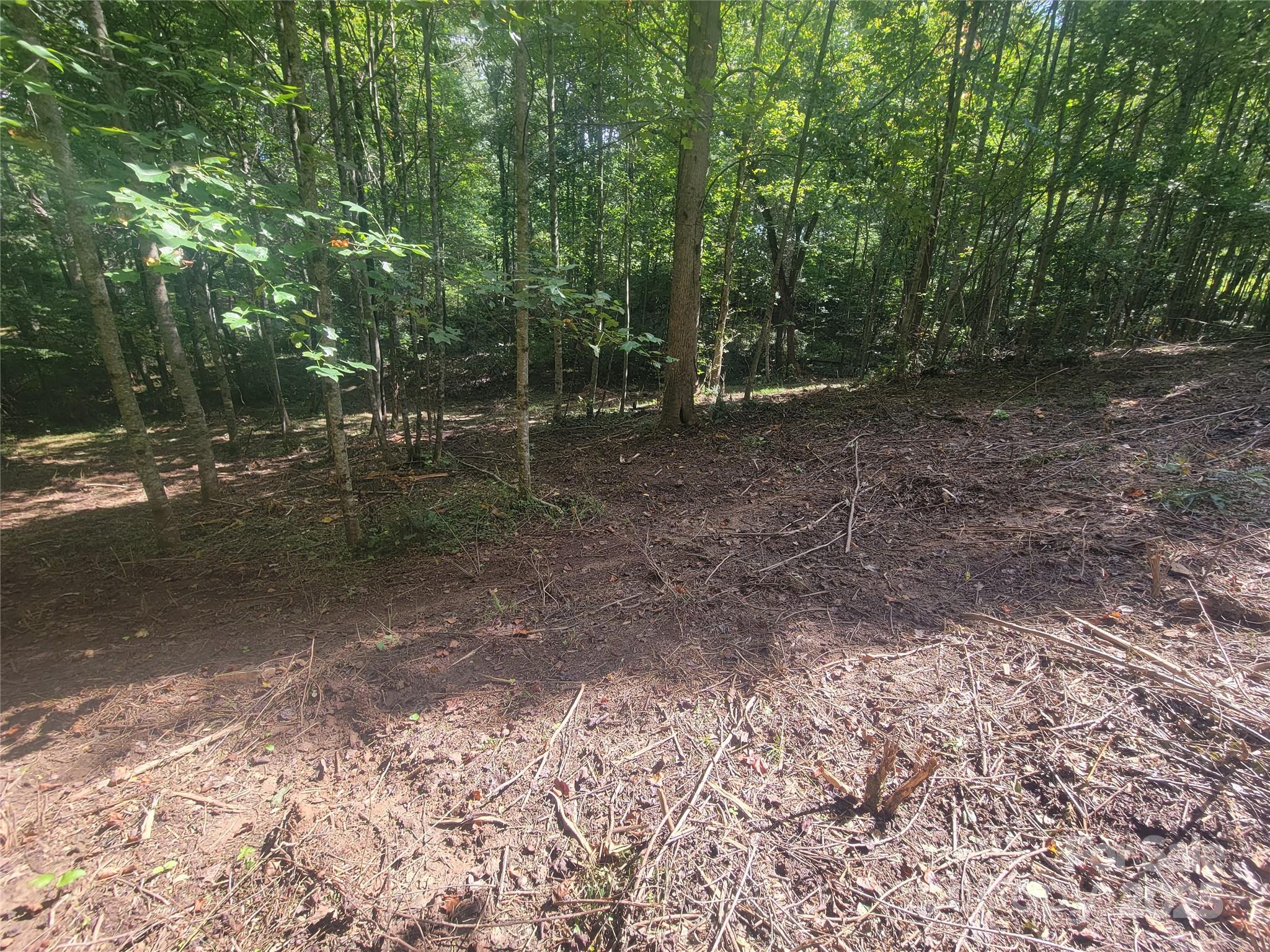 0 Bradford Park, Unit 10 Clyde, NC 28721 - Photo 11 of 23 a view of a forest with trees in the background