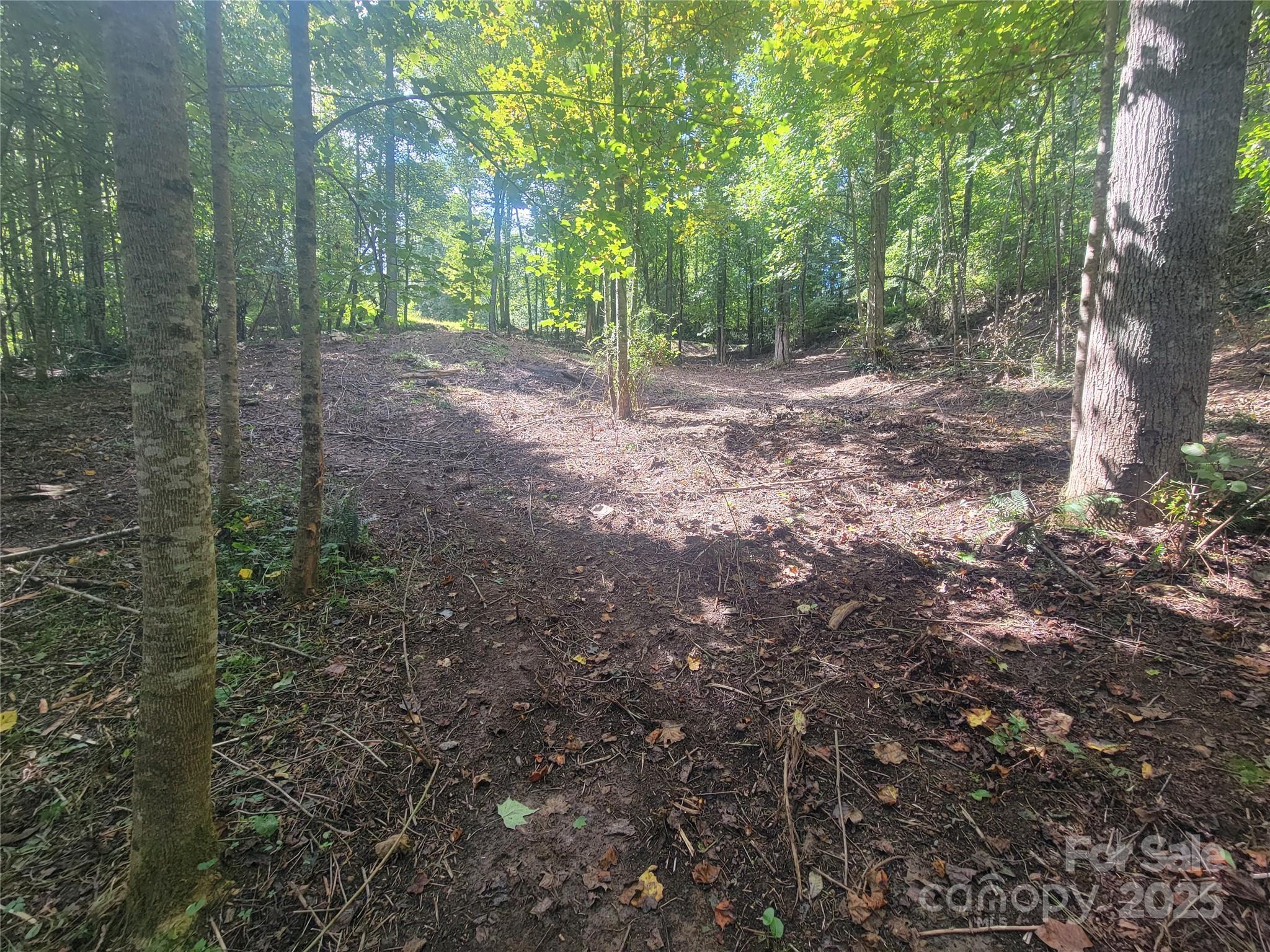 0 Bradford Park, Unit 10 Clyde, NC 28721 - Photo 12 of 23 a view of a forest with trees in the background