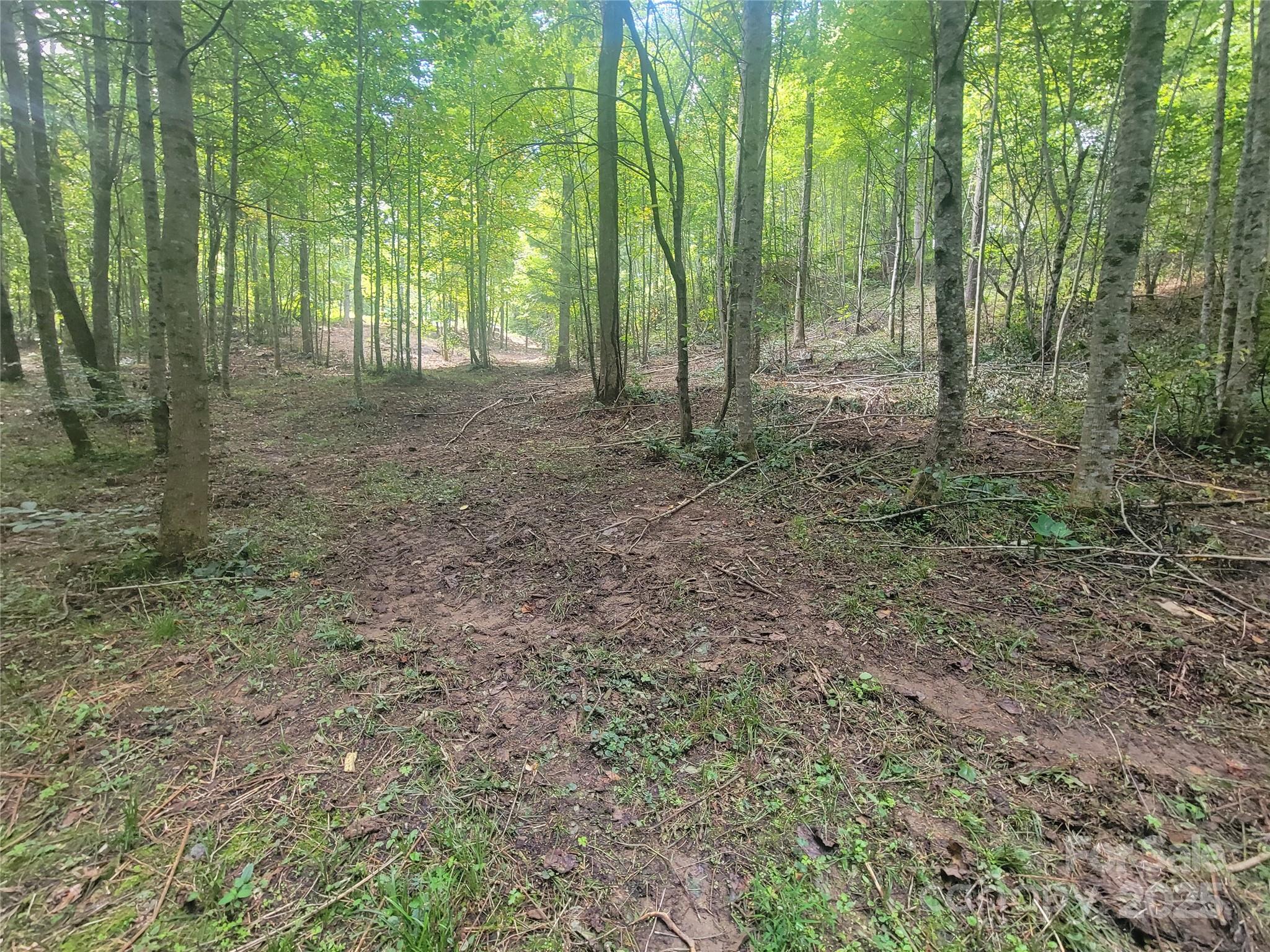 0 Bradford Park, Unit 10 Clyde, NC 28721 - Photo 13 of 23 a view of a forest with trees in the background