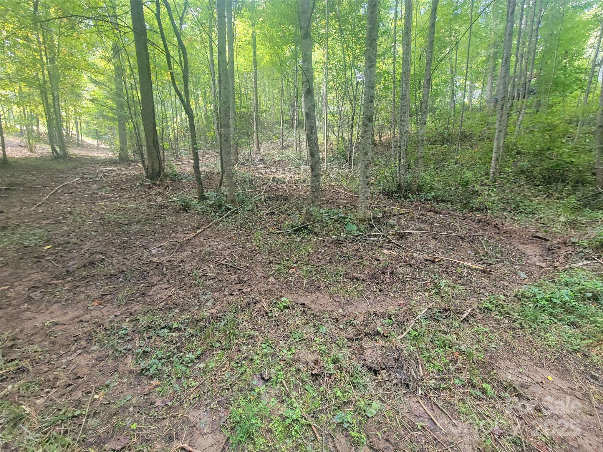 0 Bradford Park, Unit 10 Clyde, NC 28721 - Photo 14 of 23 a view of a forest with trees in the background