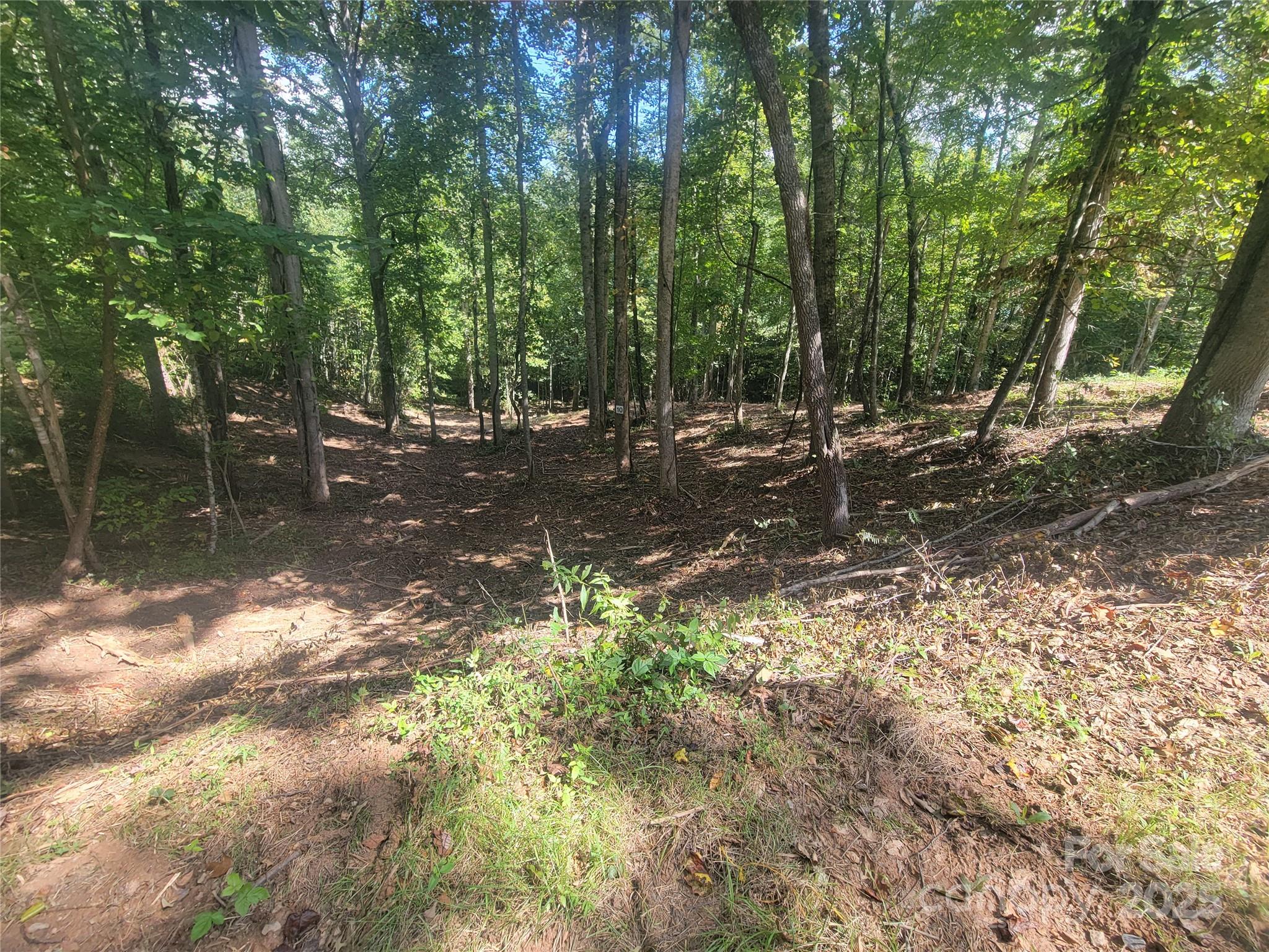 0 Bradford Park, Unit 10 Clyde, NC 28721 - Photo 16 of 23 a backyard of a house with lots of green space