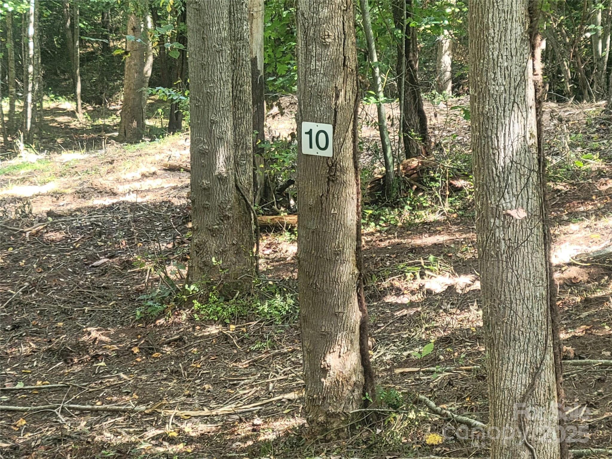 0 Bradford Park, Unit 10 Clyde, NC 28721 - Photo 17 of 23 a view of a tree in the forest