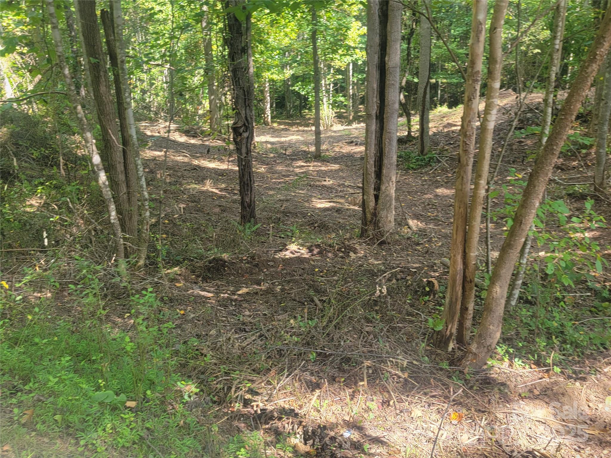 0 Bradford Park, Unit 10 Clyde, NC 28721 - Photo 19 of 23 a view of outdoor space and trees