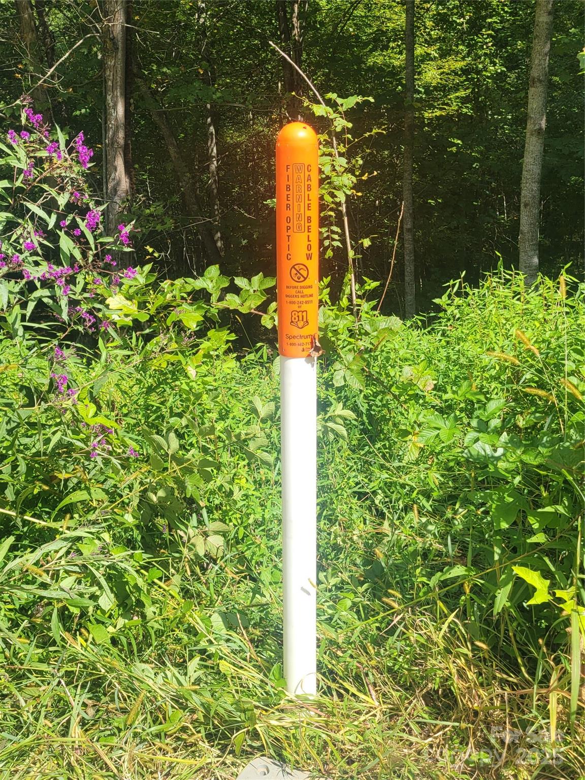 0 Bradford Park, Unit 10 Clyde, NC 28721 - Photo 20 of 23 a street view